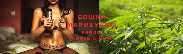 крисы Тобольск