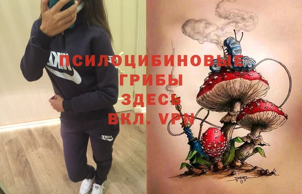 Альфа ПВП Бугульма