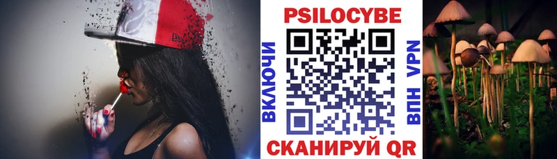 Псилоцибиновые грибы прущие грибы  blacksprut как зайти  Миллерово 